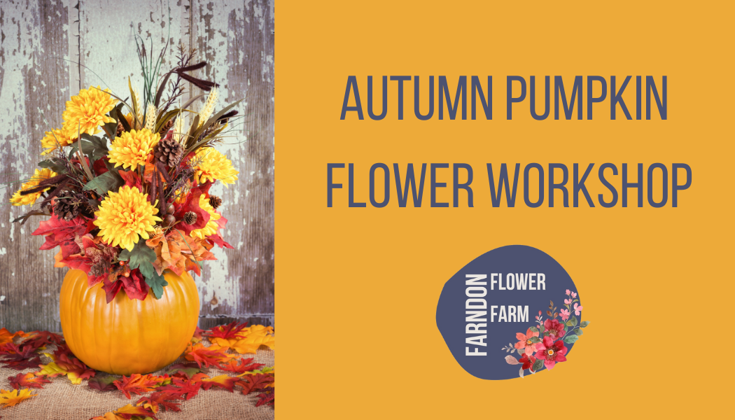 Autumn Pumpkin Floral Arrangement Workshop